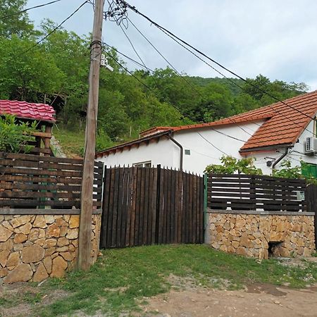 Andrei Villa Sasca Montană Eksteriør bilde