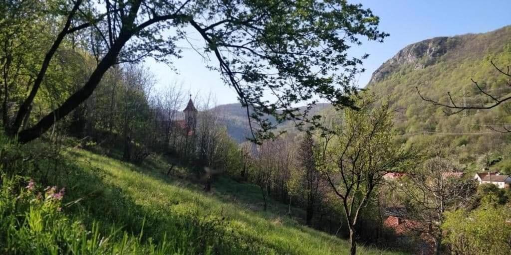 Andrei Villa Sasca Montană Eksteriør bilde